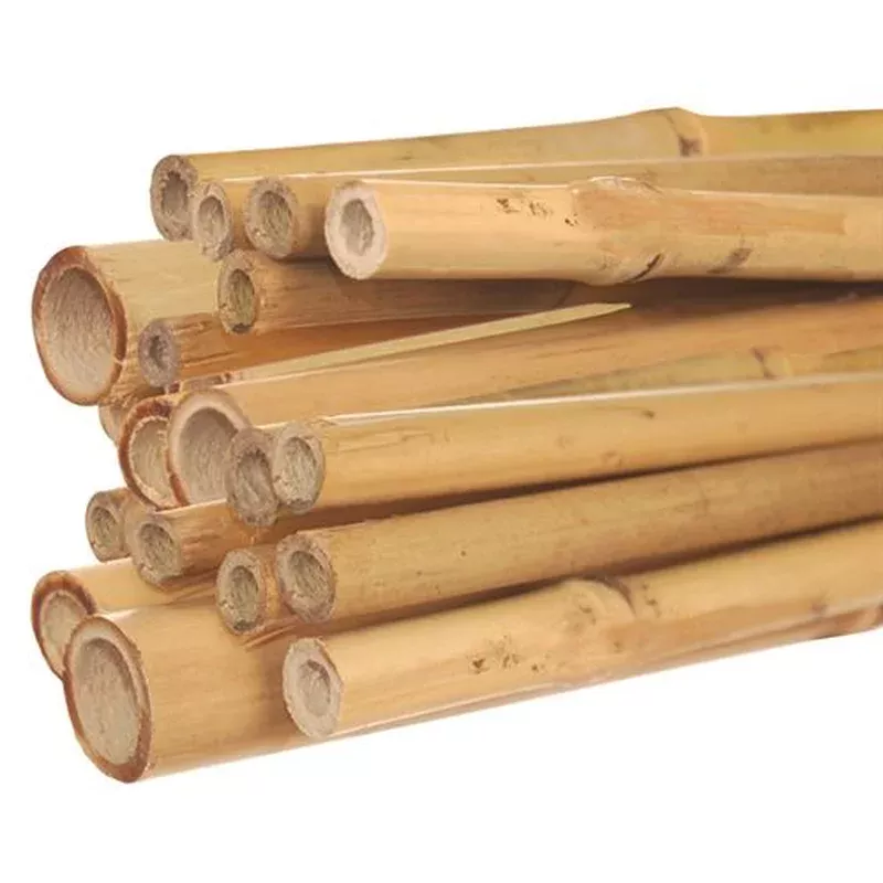 bamboo-stake-8-natural Bamboo Stake 8′ – Natural