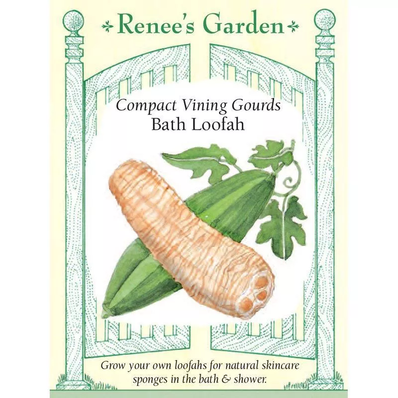 Bath Loofah Compact Vining Gourd Seeds