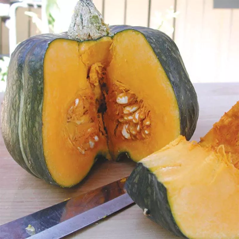 Buttercup Winter Squash Seeds