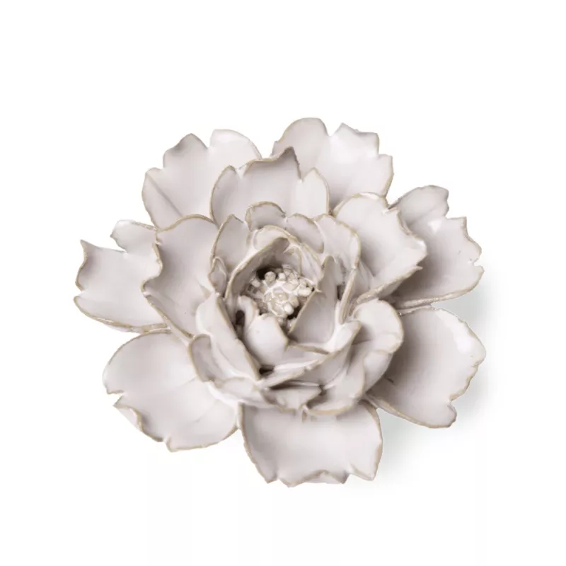 co03-ivory-rose-ivory #CO03 Ivory Rose Ivory