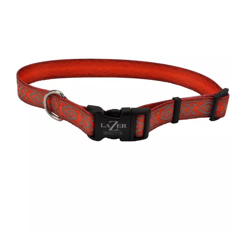 coastal-pet-products-lazerbrite-patterned-collar Coastal Pet Products LazerBrite Patterned Collar