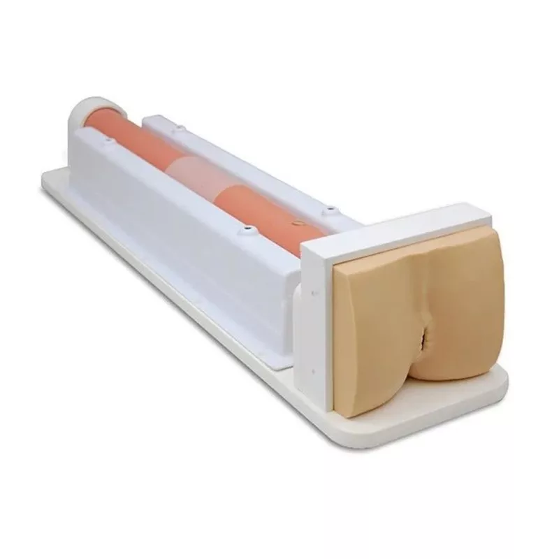 colon-endoscopy-trainer Colon Endoscopy Trainer