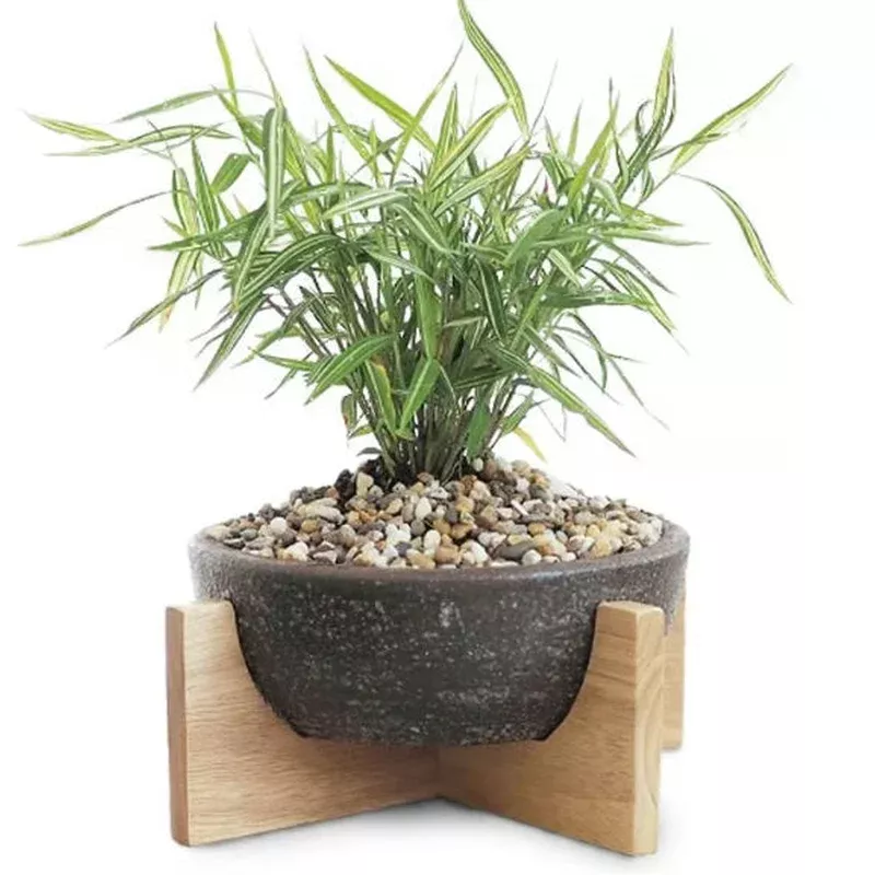 Dish Pot Stand