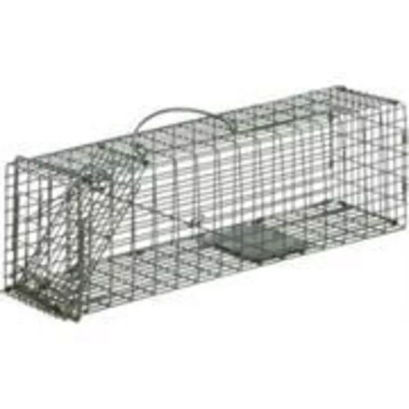 Duke # 1-1 Cage Trap