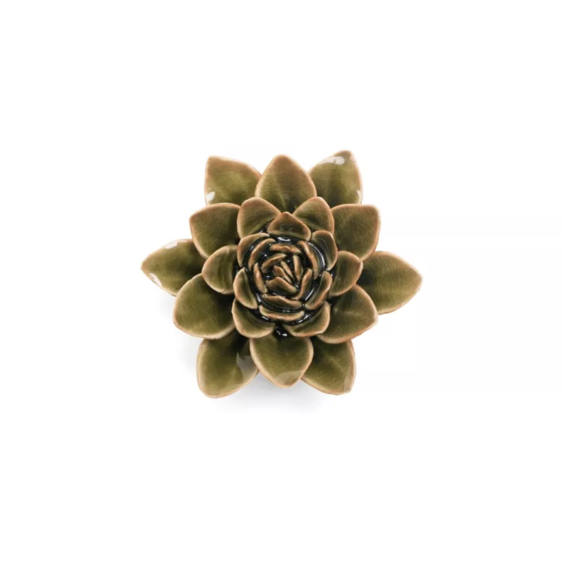 #EG01 Olive Green Echeveria
