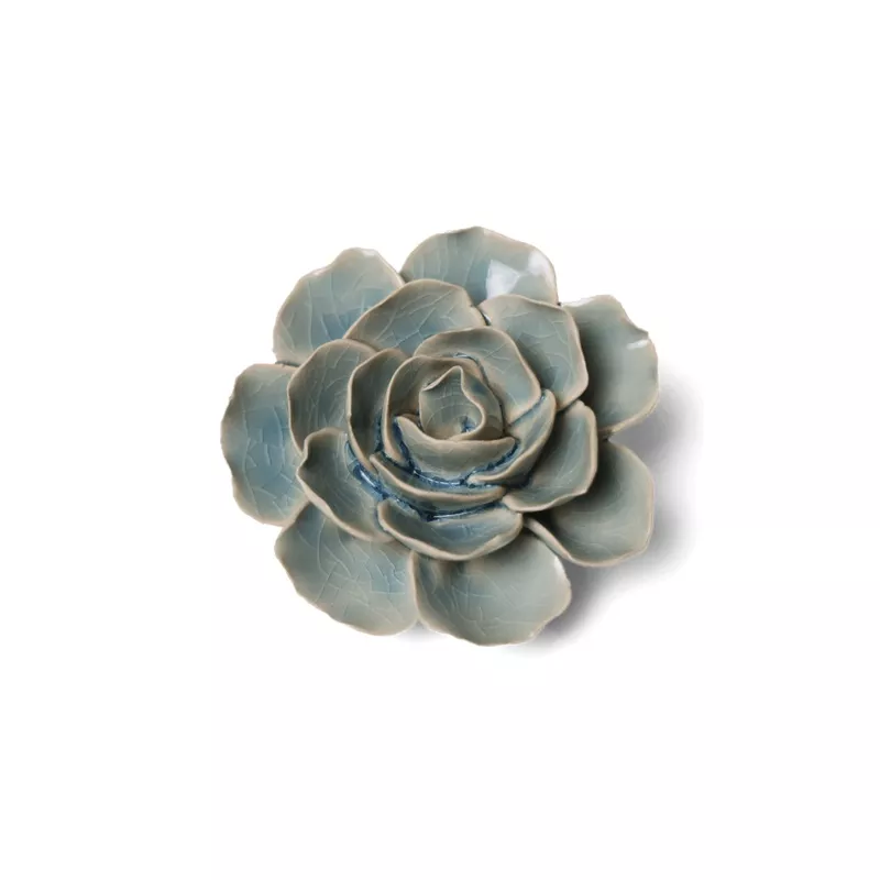 #EG04 Powder Blue Amandine Ranunculus
