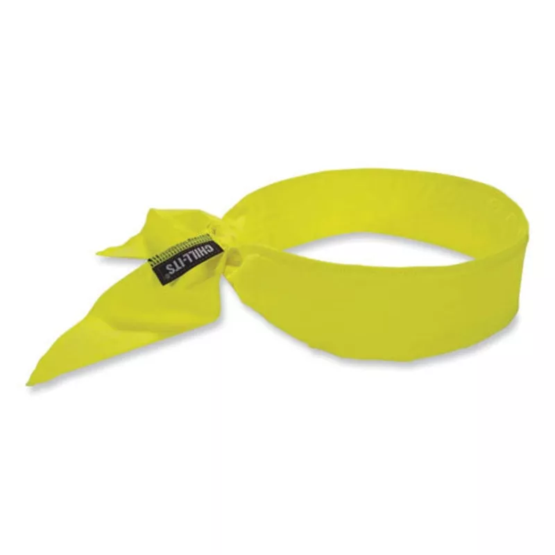 ergodyne-chill-its-6702-cooling-embedded-polymers-tie-bandana-one-size-fits-most Ergodyne Chill-its 6702 Cooling Embedded Polymers Tie Bandana One Size Fits Most Lime