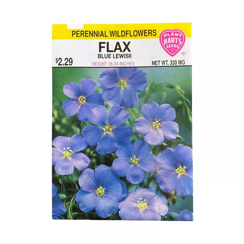 Flax Blue Lewisii