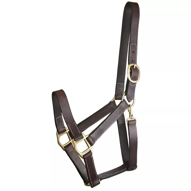 gatsby-track-style-turnout-halter-with-snap-havana Gatsby Track Style Turnout Halter with Snap Havana