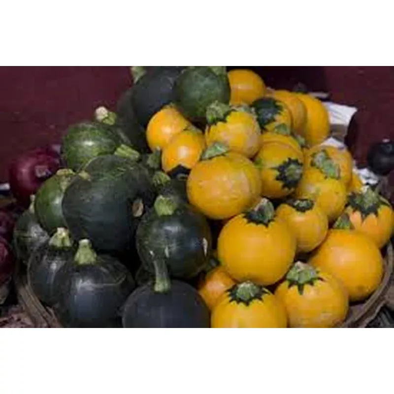 honey-bear-acorn-squash ‘Honey Bear’ – Acorn Squash