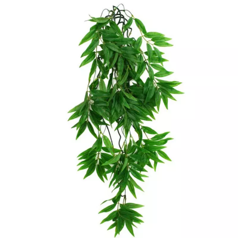 Komodo Climbing Plant Bamboo Large
