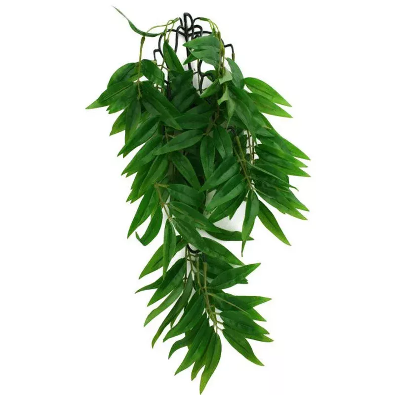 Komodo Climbing Plant Bamboo Small