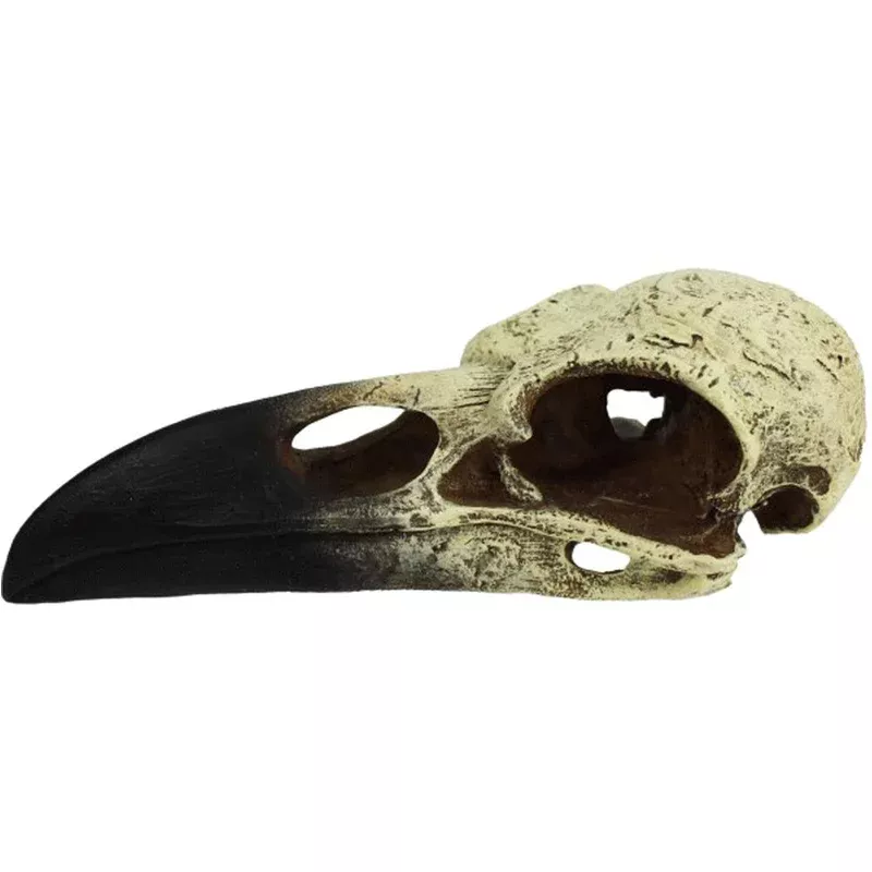 Komodo Raven Skull Large