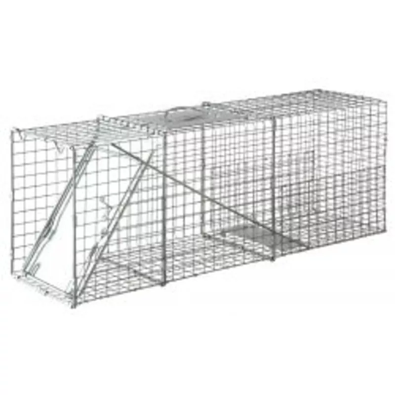 little-giant-single-door-live-animal-trap Little Giant Single Door Live Animal Trap