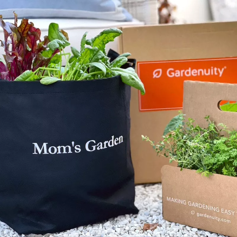 mom-s-giftable-garden Mom’s Giftable Garden