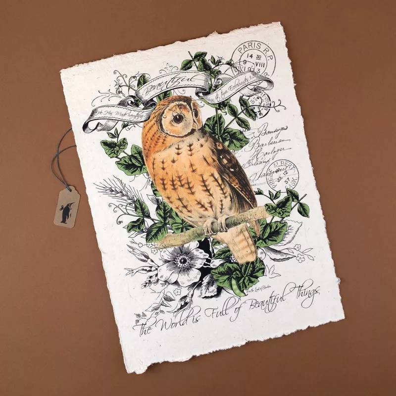 Paper Print | Beautiful Things – Owl