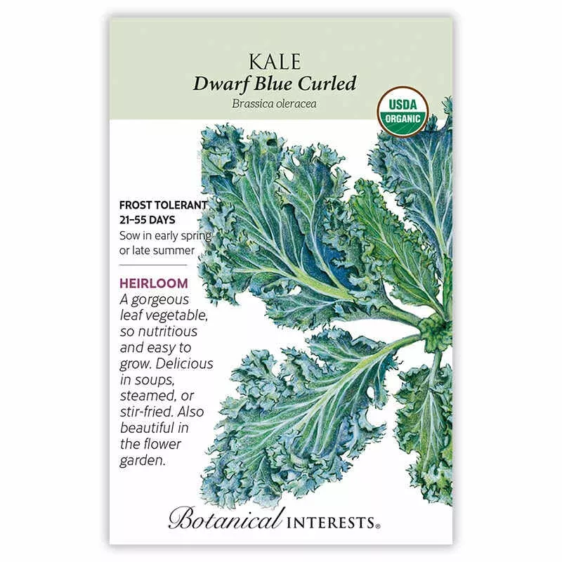 SEEDS: Kale – Dwarf Blue Curled