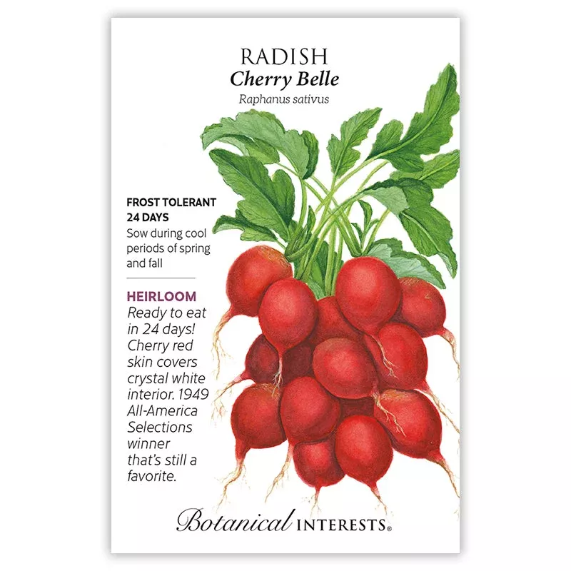 seeds-radish-cherry-belle-organic SEEDS: Radish – Cherry Belle – Organic