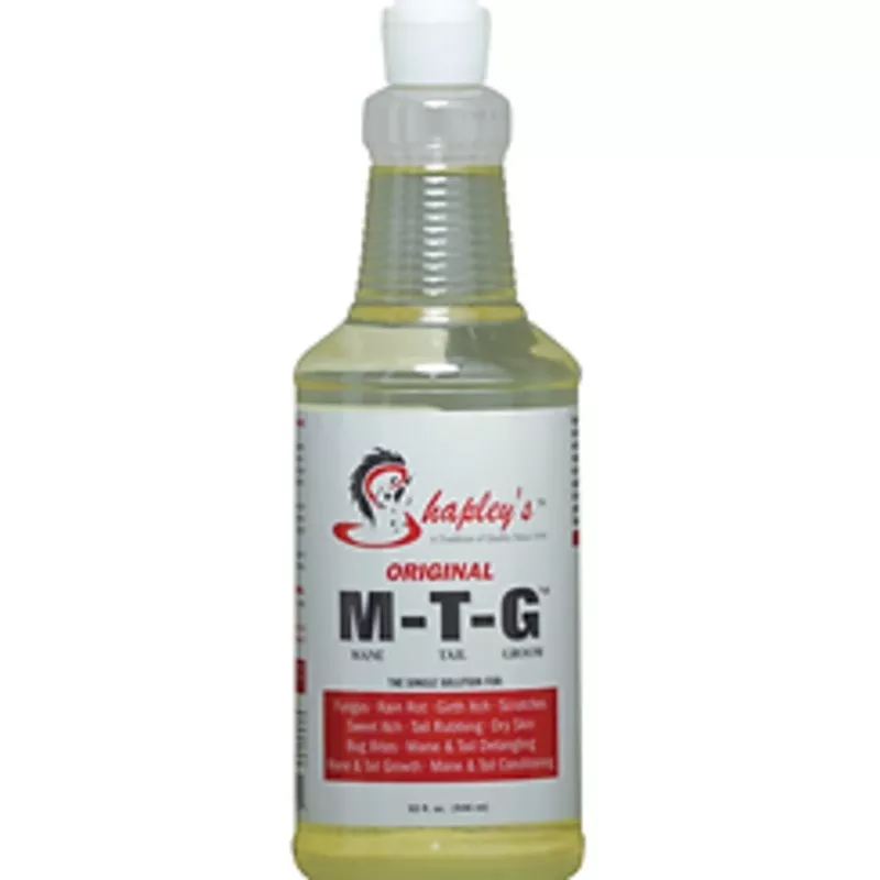 Shapley’s Original M-T-G