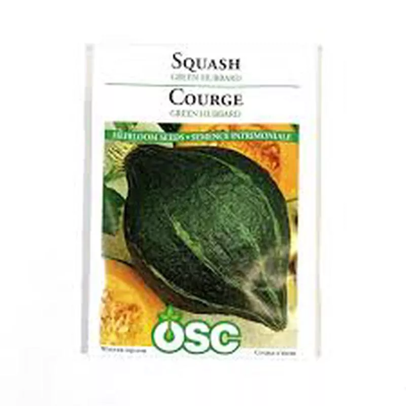 Squash Seed Packets – Green Hubbard