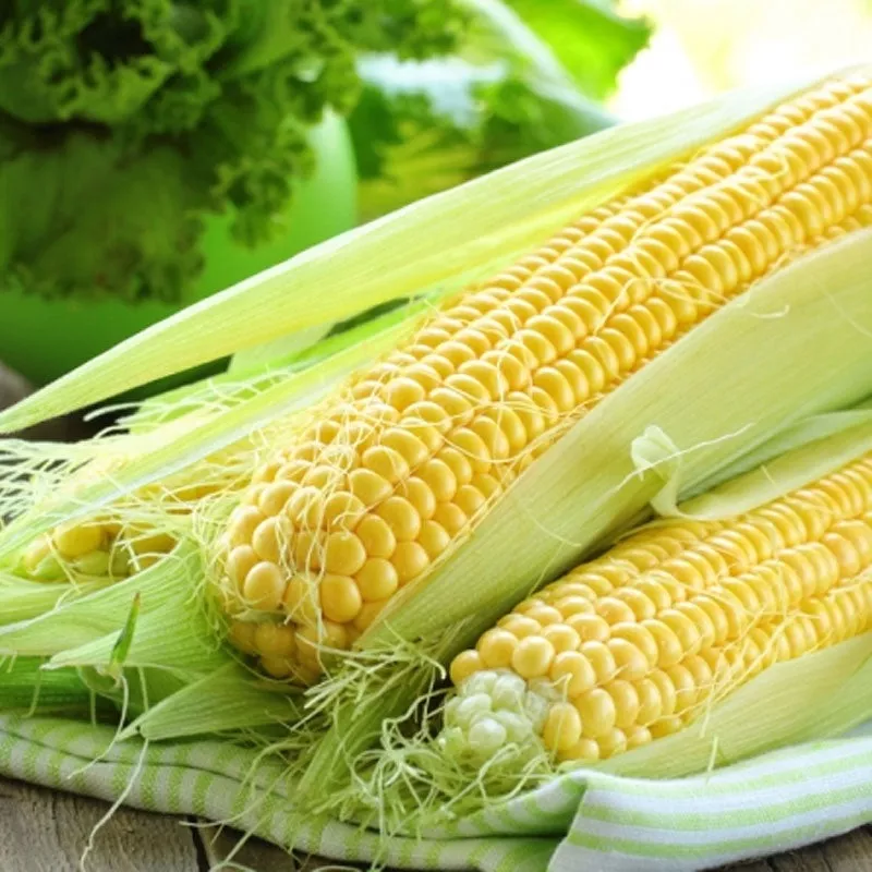 sweet-corn-sugar-sweet-vegetable-punnet Sweet Corn Sugar Sweet Vegetable Punnet