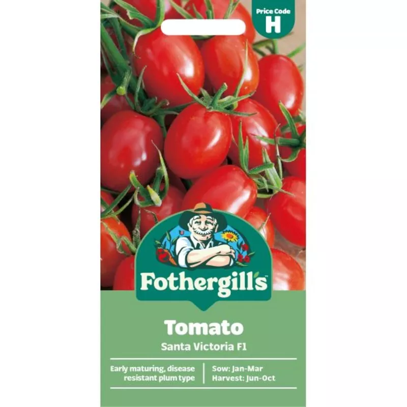 tomato-santa-victoria-f1-seeds Tomato Santa Victoria F1 Seeds