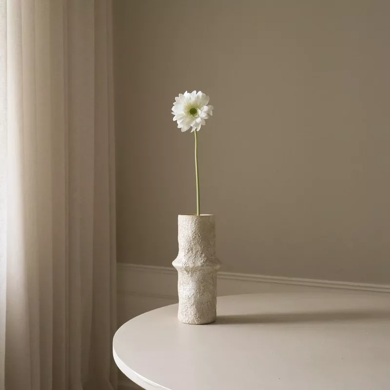 White Gerbera Daisy Flower White