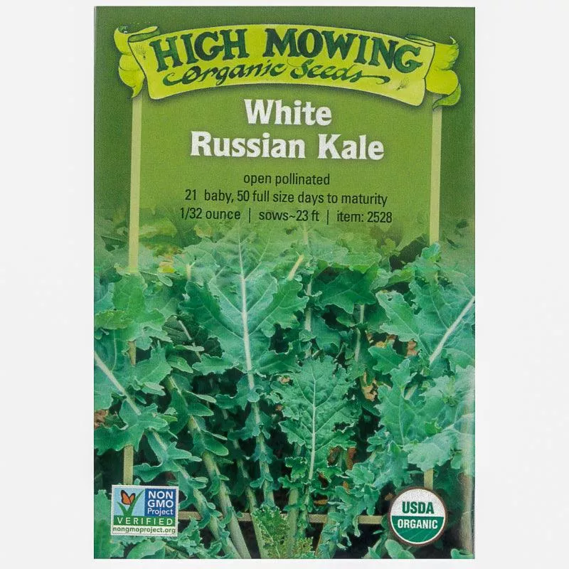 White Russian Kale (Organic)
