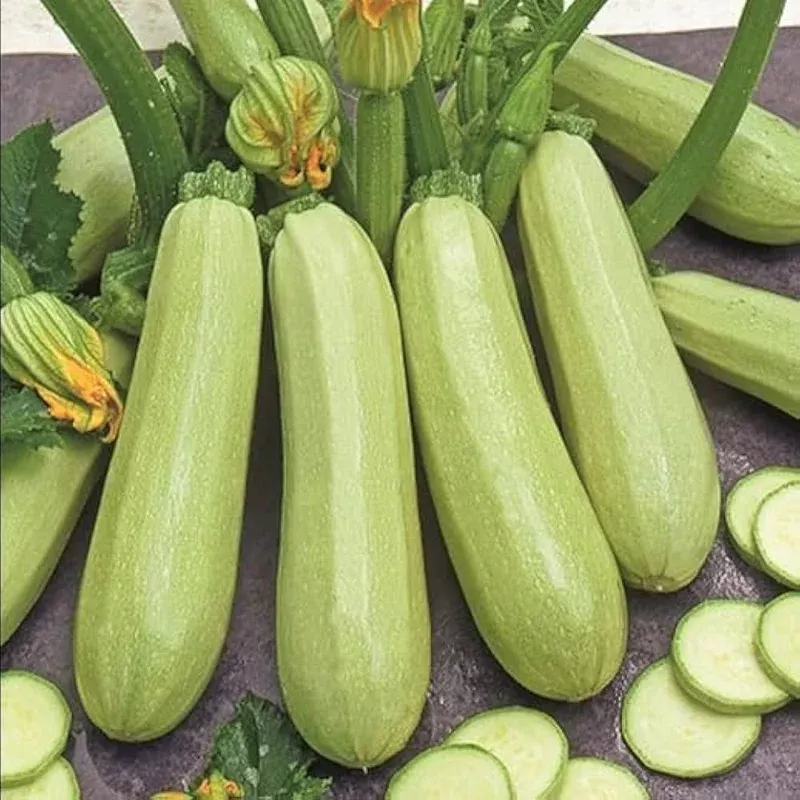 zucchini-seeds-planting-heirloom-non-gmo-high-yield-summer-squash-variety Zucchini Seeds for Planting Heirloom Non-GMO High Yield Summer Squash Variety
