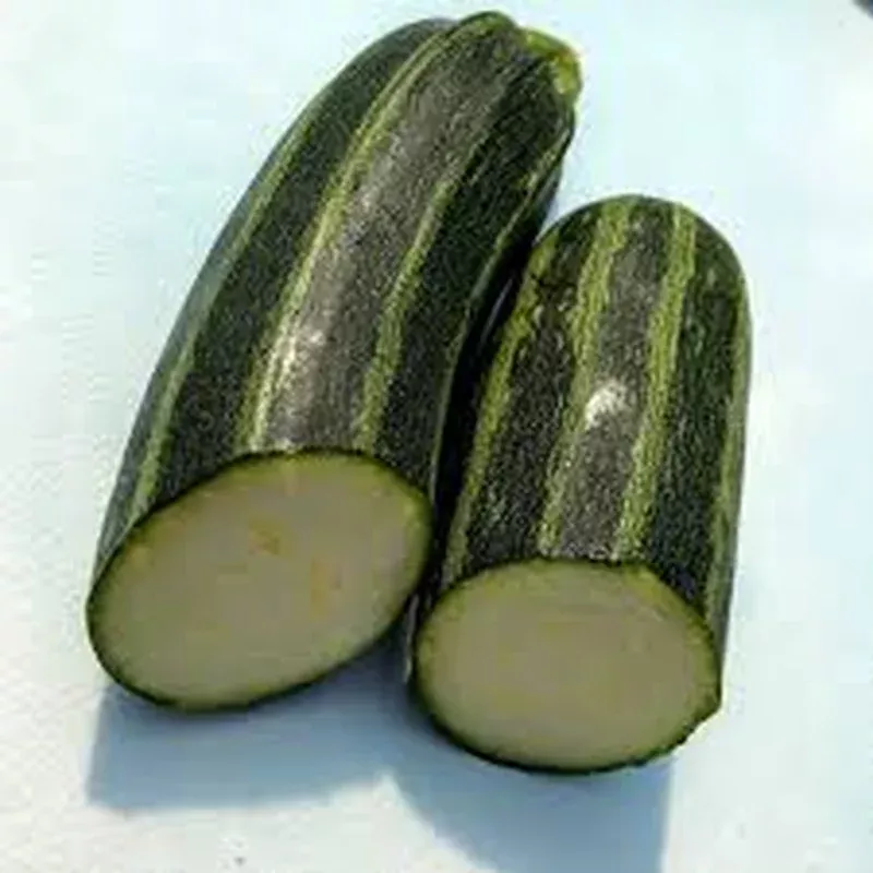 zucchini-squash-seeds-cocozelle-variety-heirloom-non-gmo-italian-summer-squash-e Zucchini Squash Seeds Cocozelle Variety Heirloom Non-GMO Italian Summer Squash Easy to Grow